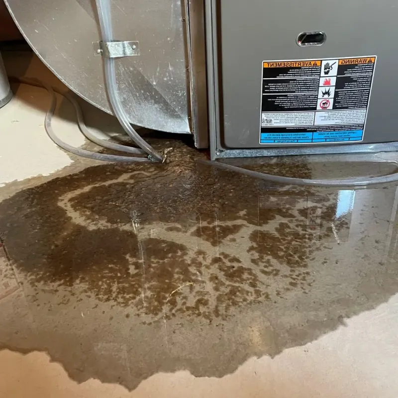 Pipe Burst and Leak Restoration in Reinbeck, IA