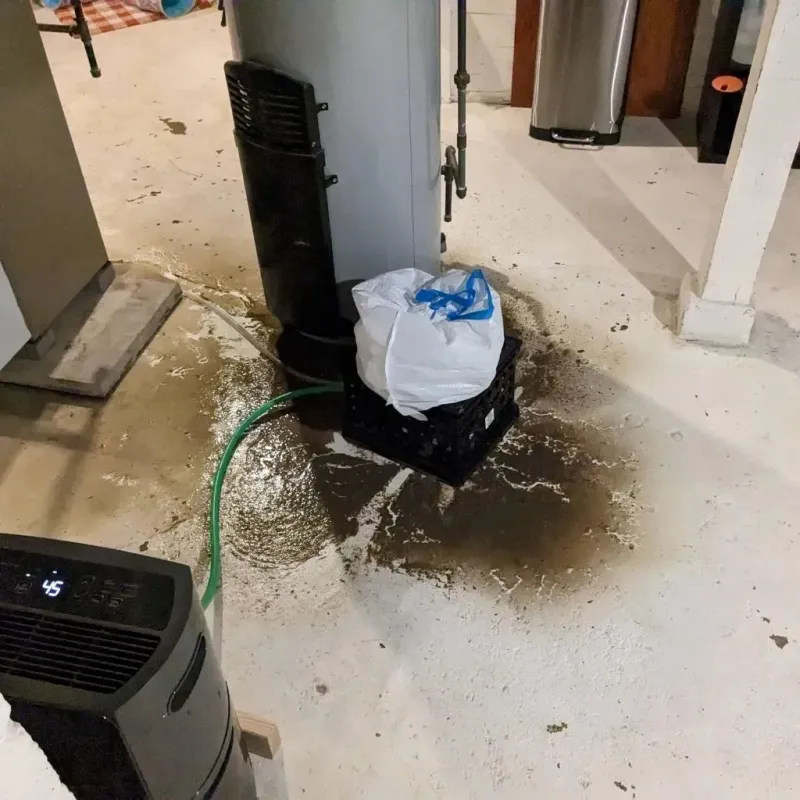 Sewage Backup Cleanup Service in Reinbeck, IA